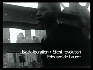 Omslagsbild till The Silent Revolution