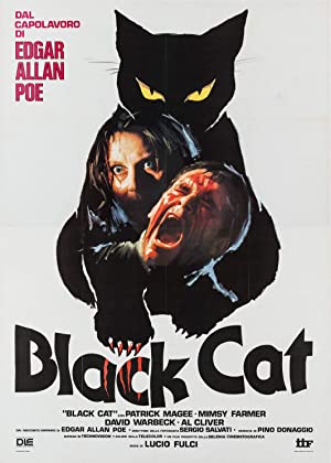 Omslagsbild till The Black Cat