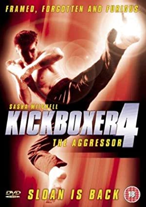 Omslagsbild till Kickboxer 4: The Aggressor