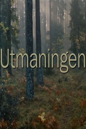 Omslagsbild till Utmaningen