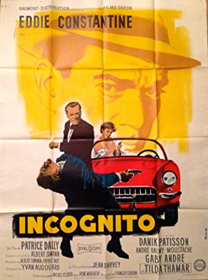 Omslagsbild till Incognito