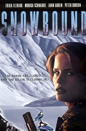 Omslagsbild till Snowbound