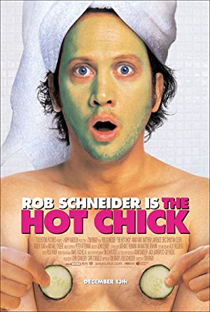 Omslagsbild till The Hot Chick