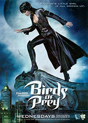 Omslagsbild till Birds of Prey