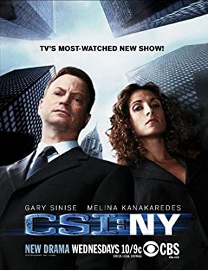 Omslagsbild till CSI: NY