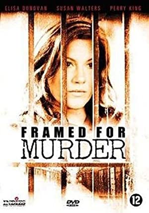 Omslagsbild till Framed for Murder
