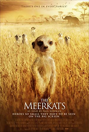 Omslagsbild till The Meerkats