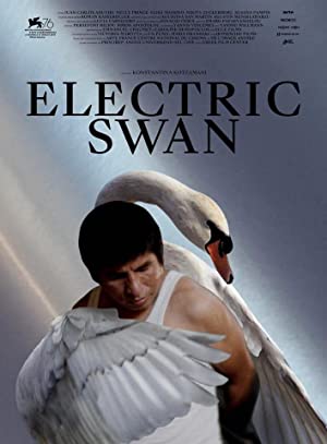 Omslagsbild till Electric Swan
