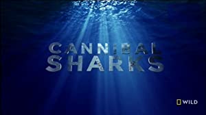 Omslagsbild till Cannibal Sharks