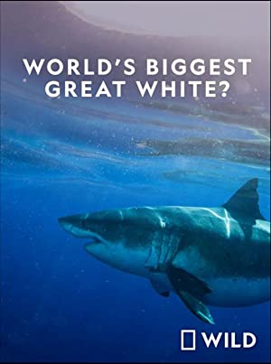 Omslagsbild till World's Biggest Great White Shark