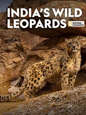Omslagsbild till India's Wild Leopards