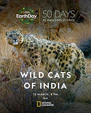 Omslagsbild till Wild Cats of India