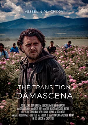 Omslagsbild till Damascena: The Transition