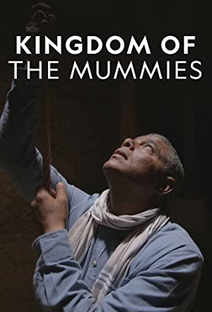 Omslagsbild till Kingdom of the Mummies
