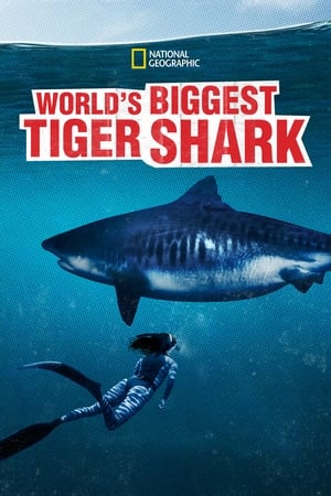 Omslagsbild till World's Biggest Tiger Shark