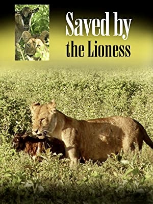 Omslagsbild till Saved by the Lioness