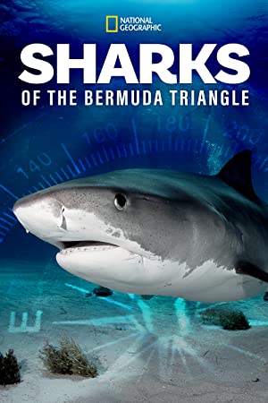 Omslagsbild till Sharks of the Bermuda Triangle