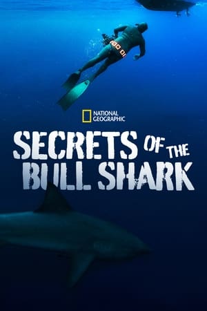 Omslagsbild till Secrets of the Bull Shark