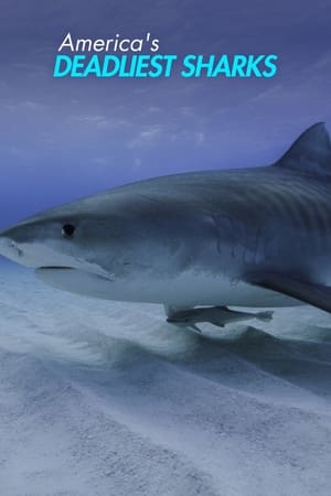 Omslagsbild till America's Deadliest Sharks