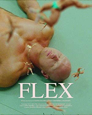 Omslagsbild till Flex