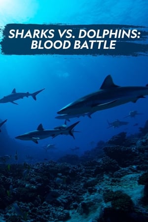Omslagsbild till Sharks vs. Dolphins: Blood Battle