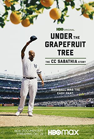 Omslagsbild till Under the Grapefruit Tree: The CC Sabathia Story