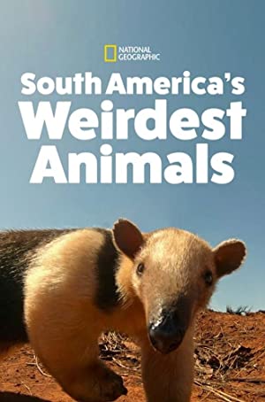 Omslagsbild till South America's Weirdest Animals