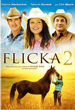 Omslagsbild till Flicka 2