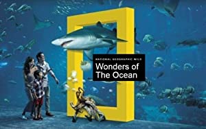 Omslagsbild till Wonders of the Ocean