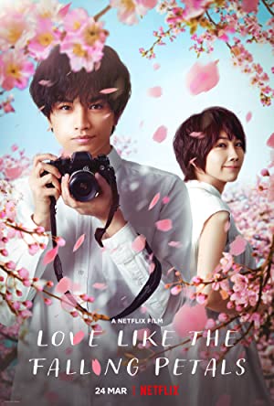 Omslagsbild till Love Like the Falling Petals