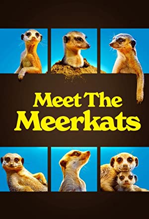 Omslagsbild till Meet the Meerkats