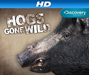 Omslagsbild till Hogs Gone Wild