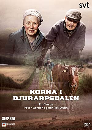 Omslagsbild till Korna i Djurarpsdalen