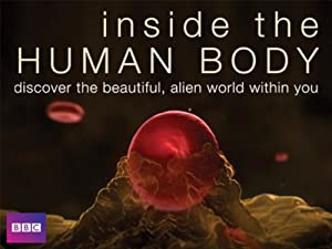 Omslagsbild till Inside the Human Body