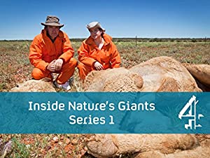 Omslagsbild till Inside Nature's Giants
