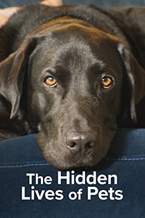 Omslagsbild till The Hidden Lives of Pets