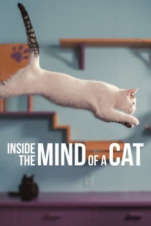 Omslagsbild till Inside the Mind of a Cat