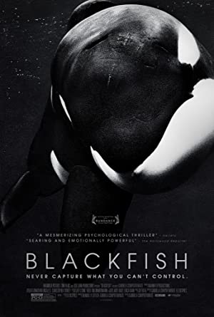 Omslagsbild till Blackfish