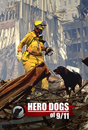 Omslagsbild till Hero Dogs of 9/11 (Documentary Special)