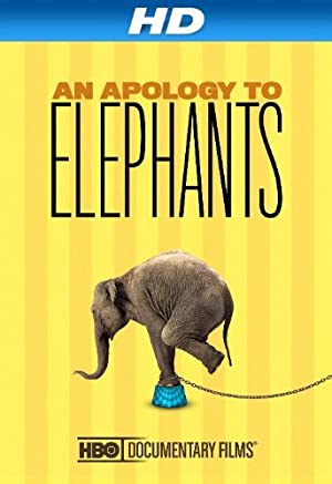 Omslagsbild till An Apology to Elephants