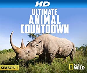 Omslagsbild till Ultimate Animal Countdown