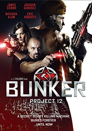 Omslagsbild till Bunker: Project 12