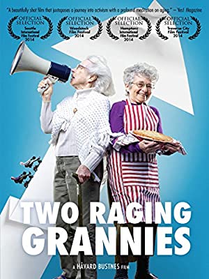 Omslagsbild till Two Raging Grannies