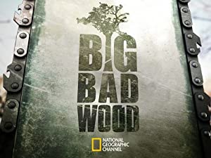 Omslagsbild till Big Bad Wood