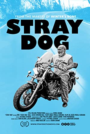 Omslagsbild till Stray Dog