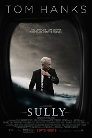 Omslagsbild till Sully