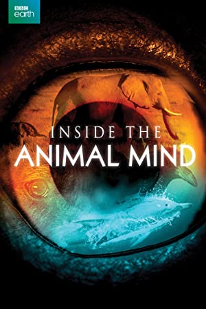 Omslagsbild till Inside the Animal Mind
