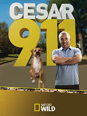 Omslagsbild till Cesar 911