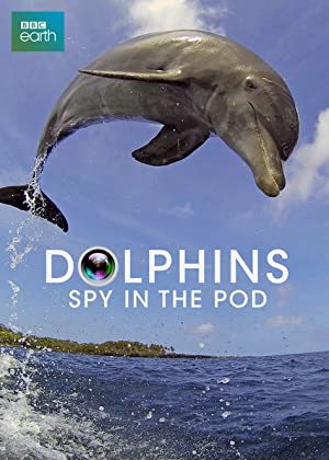 Omslagsbild till Dolphins: Spy in the Pod