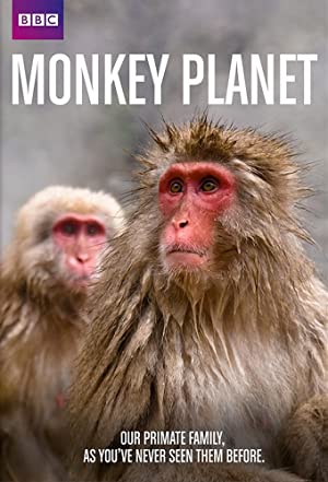 Omslagsbild till Monkey Planet